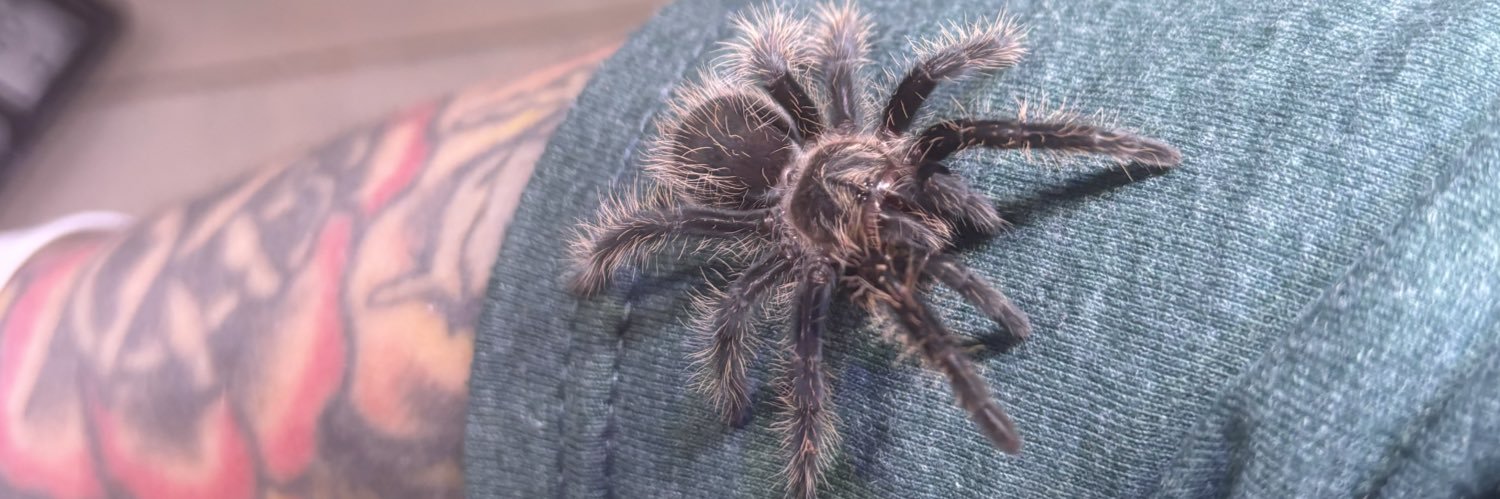 Eileen Mooreson banner