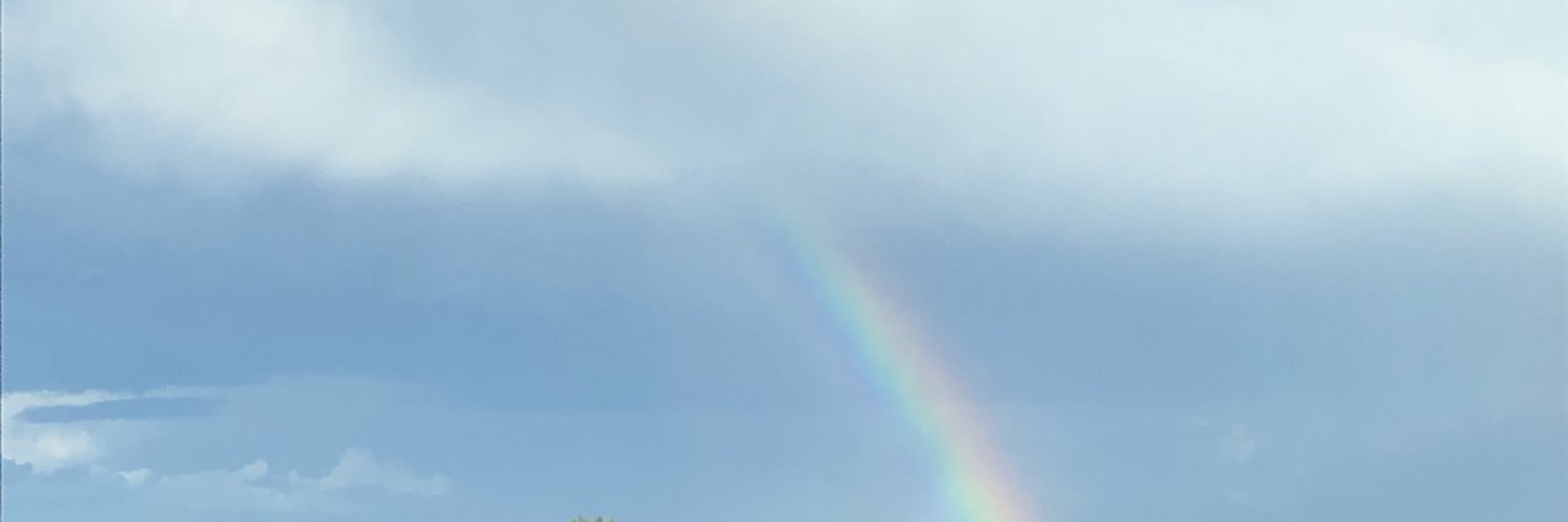 Anthea Sully banner