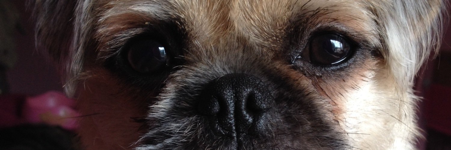 Emmeey's profile banner image