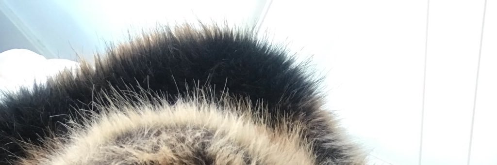 NigelStanislaus's profile banner image