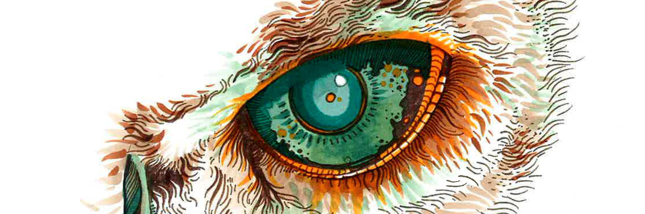 UsengecAdam's profile banner image