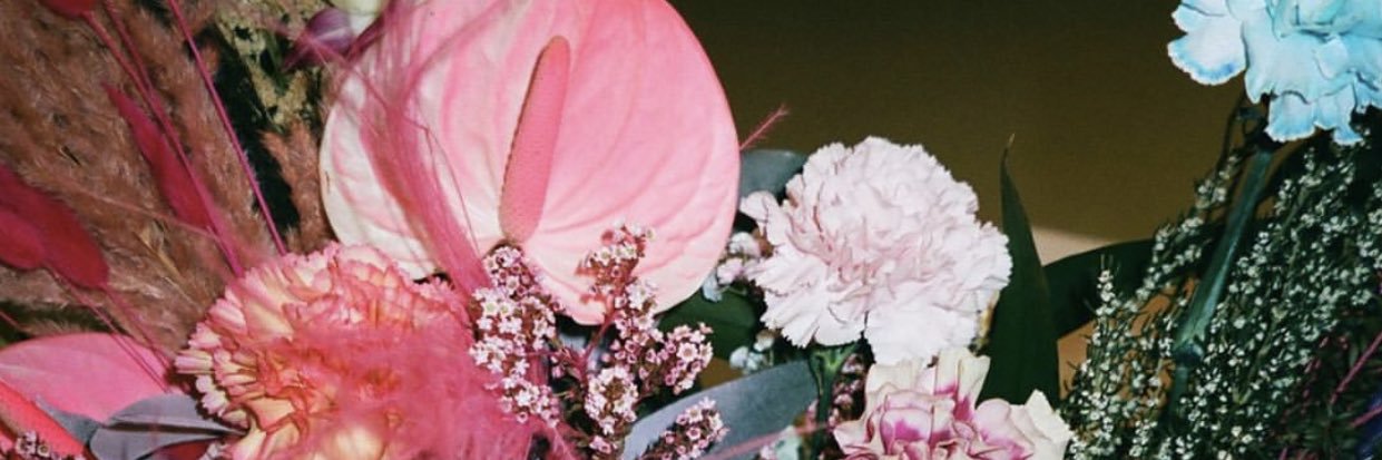 Chessi's profile banner image