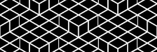 Bio Ti Que banner