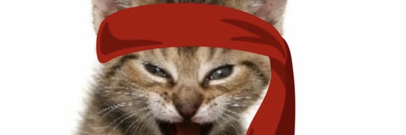 Red Wave Protocol banner