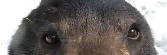desaparicion's profile banner image
