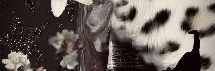 AYKA banner
