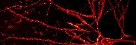 ⌷⌷⌷ banner