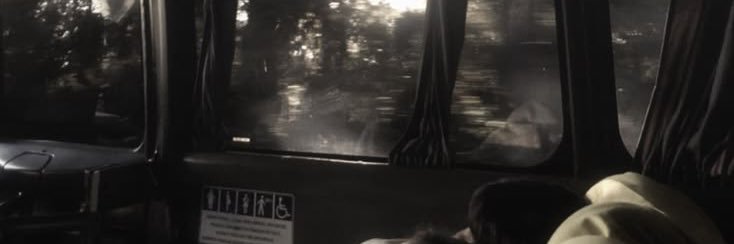 Demi!! ⋆𐙚 banner