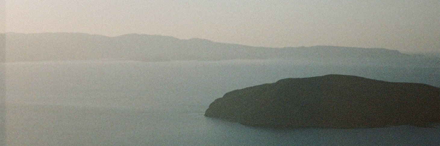 calla banner