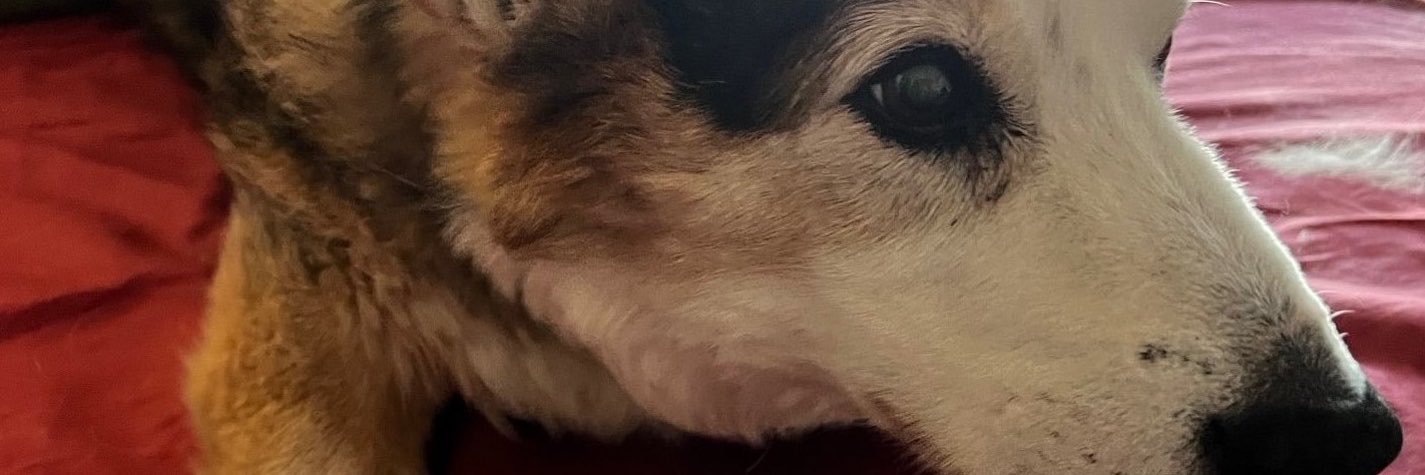 BarbaraMBoyd1's profile banner image