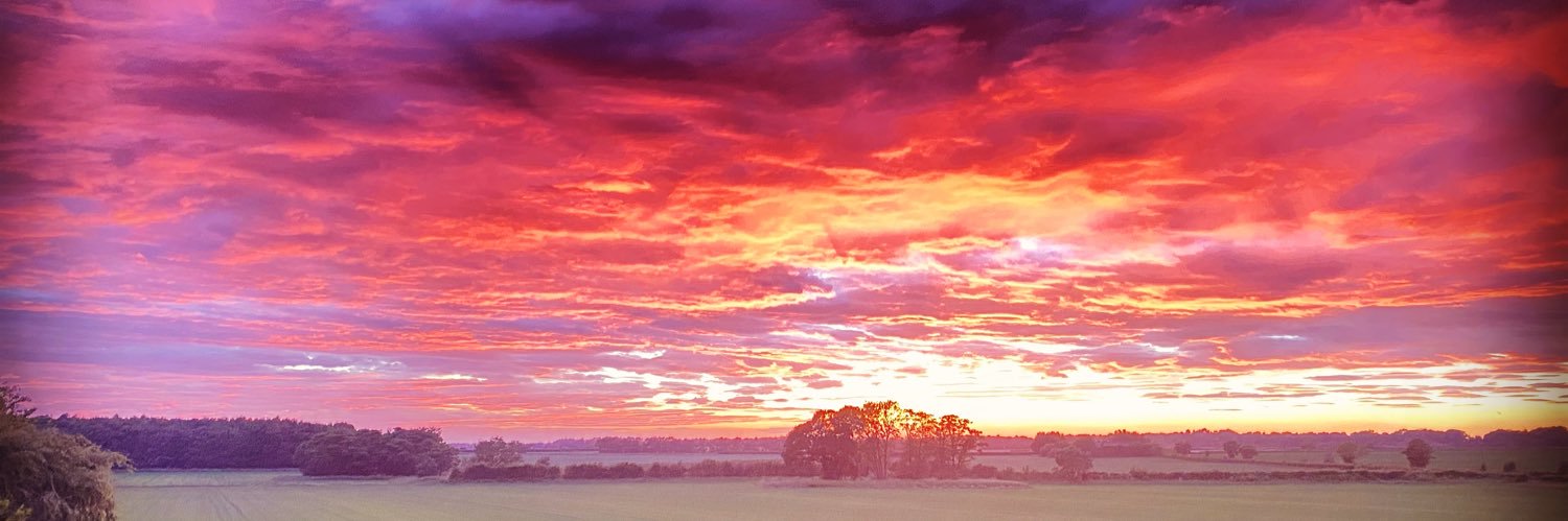 Sarah__Hallam's profile banner image
