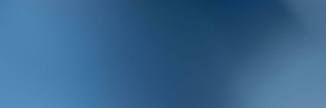 sly lady banner