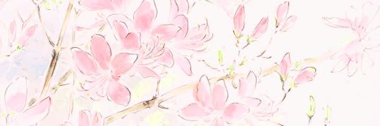 emi banner