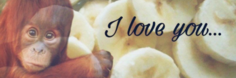 PIZZAPARTYINLA banner
