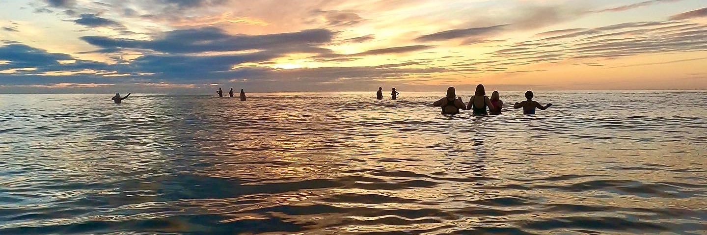 Louise Silverton banner