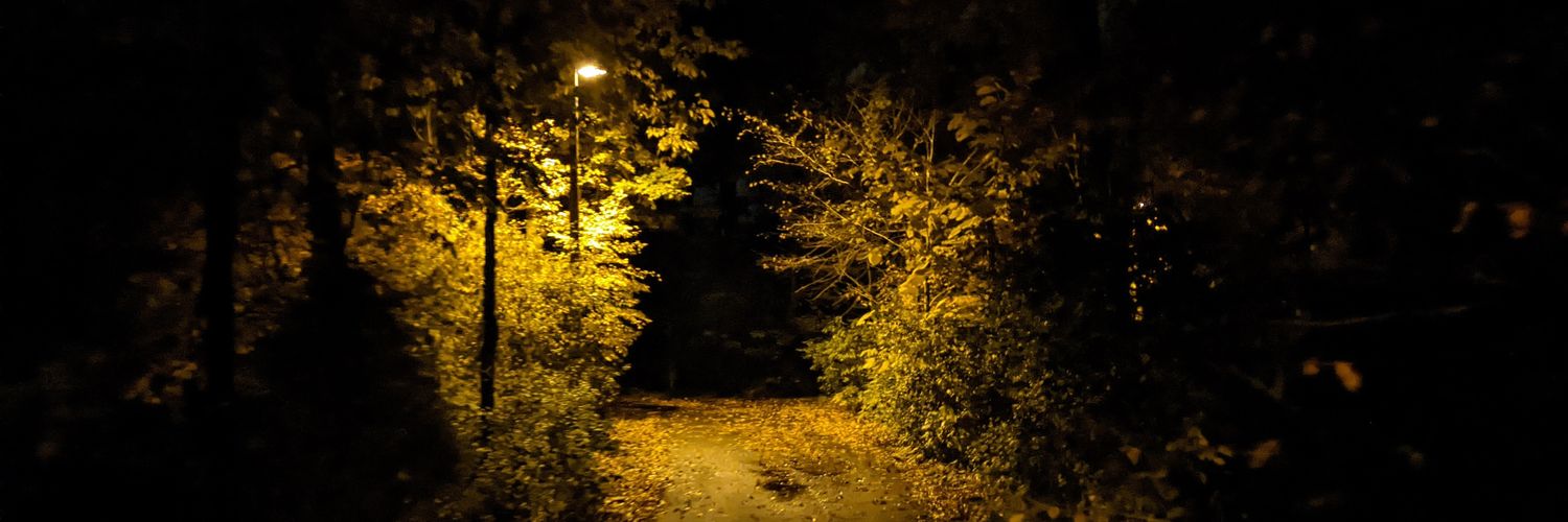 Maxime Rouiller banner