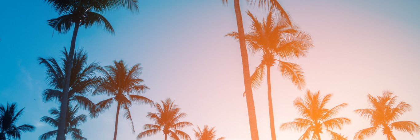 TraderKeith1's profile banner image