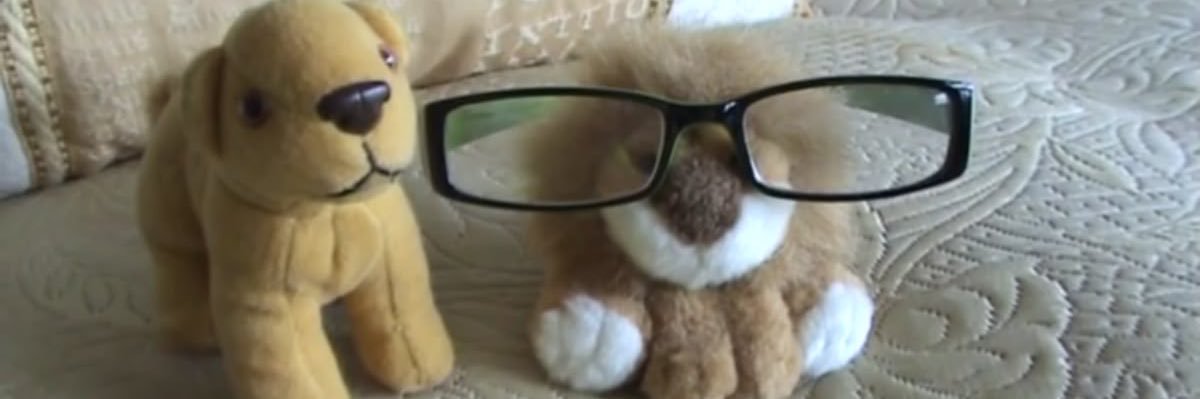 cody 🎶🖤 banner