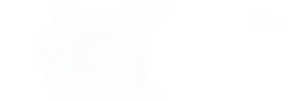 r banner
