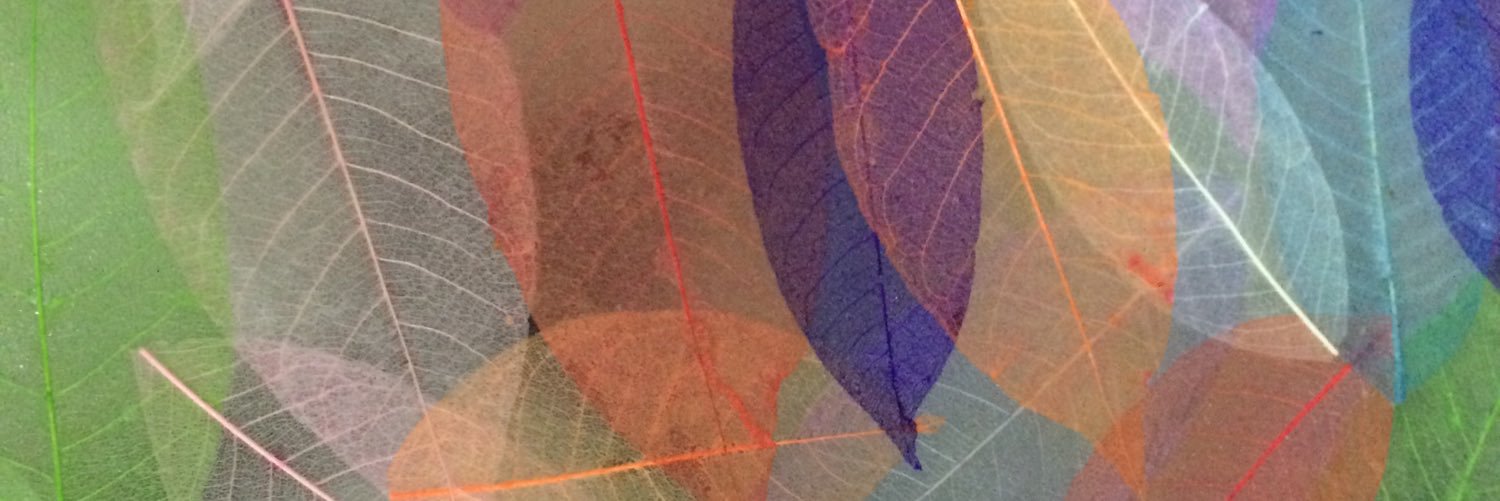 87butterflies's profile banner image