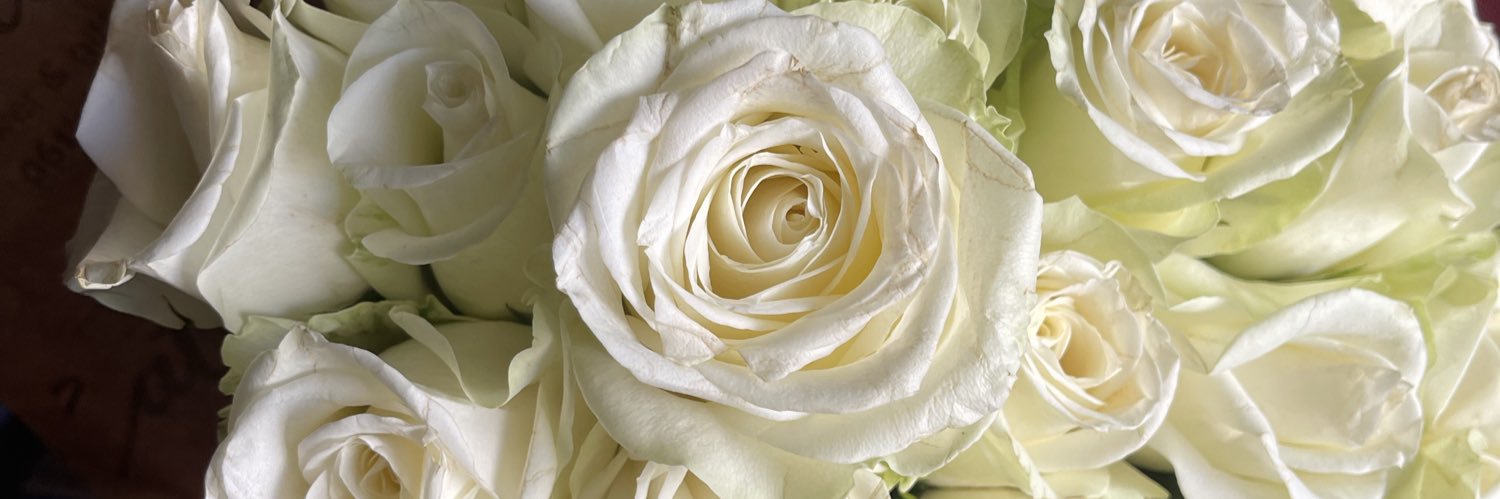 Gordana banner