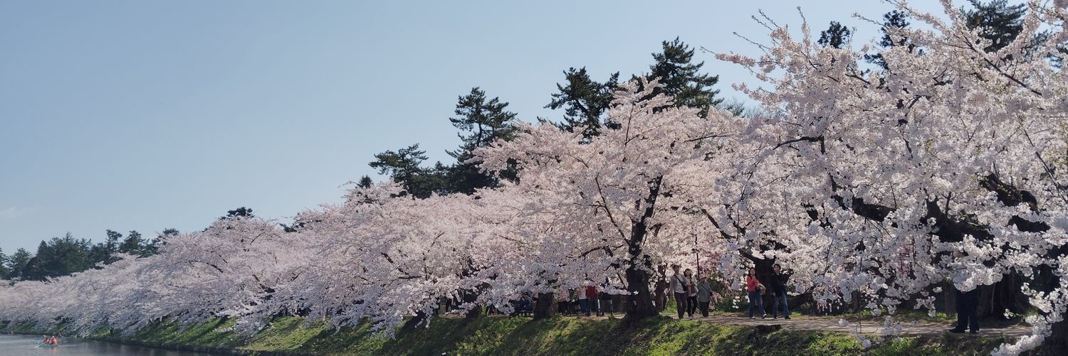 月咲@お取引 banner