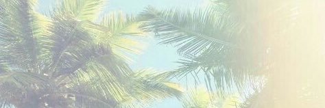 purespliff's profile banner image