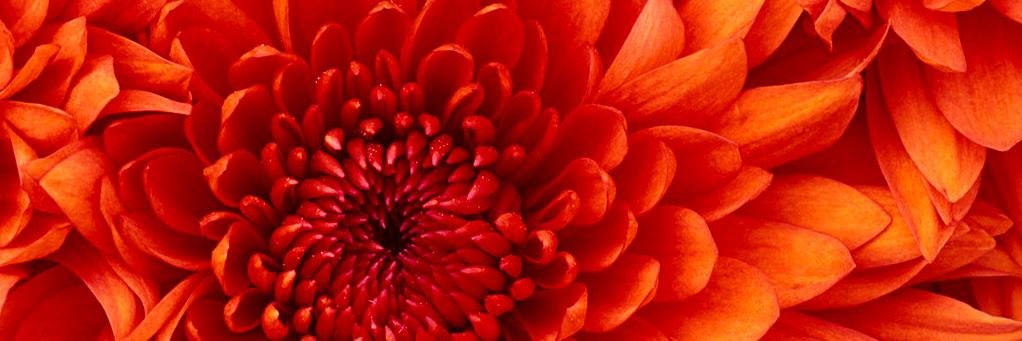 emocym's profile banner image