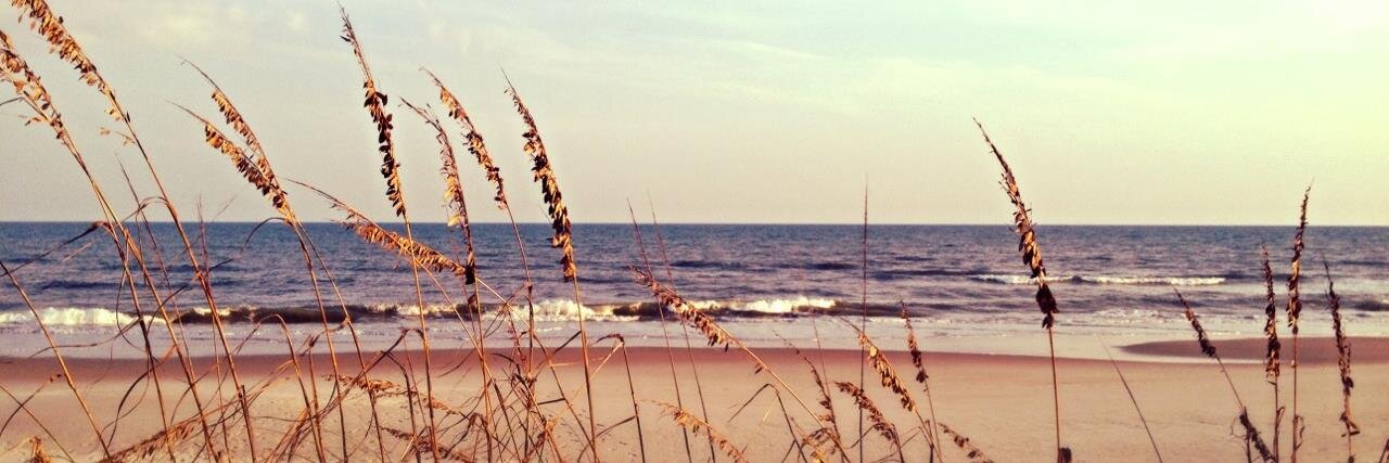 anna___engel's profile banner image