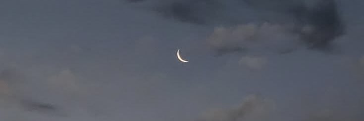 nnol_l's profile banner image