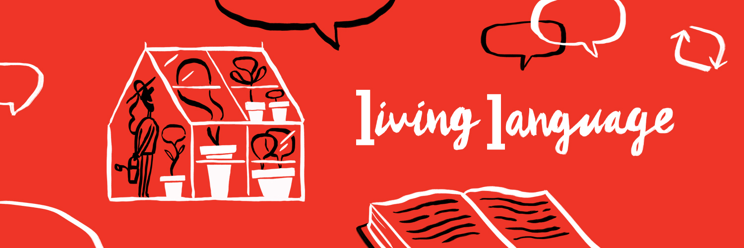 Collins Dictionary's banner