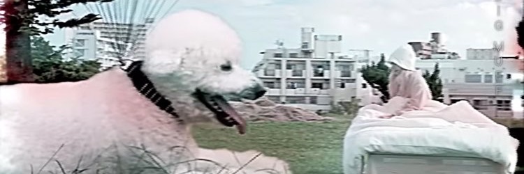 owlgall（アウルゴール） banner