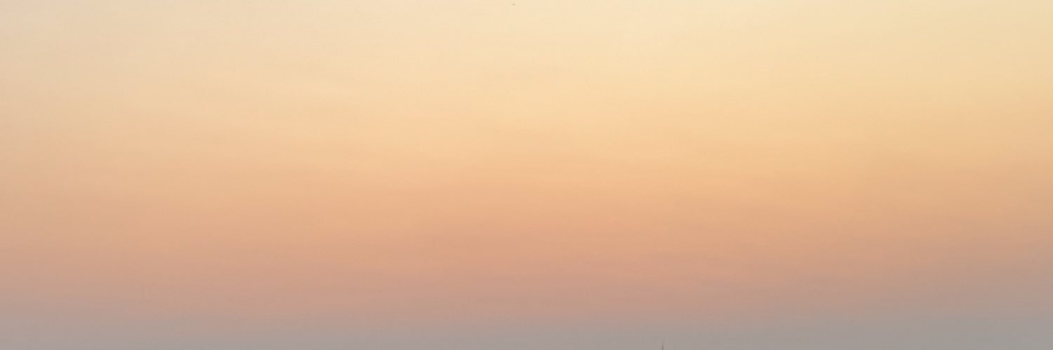 LIGHT banner