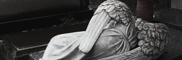 Rowena Dimitrescu banner