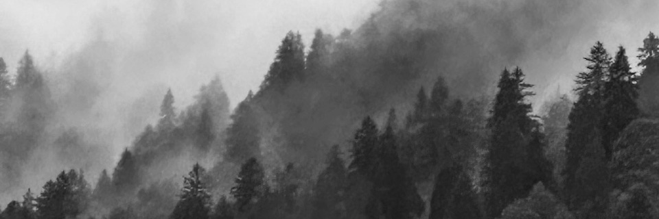 lokshin's profile banner image
