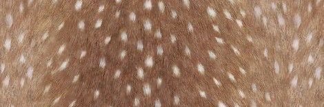 moony 𝜗ৎ (-4kg/7.5kg) banner