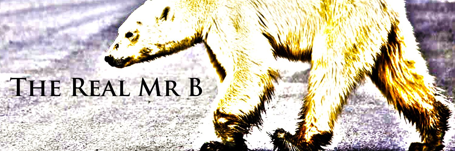 The Real Mr B banner