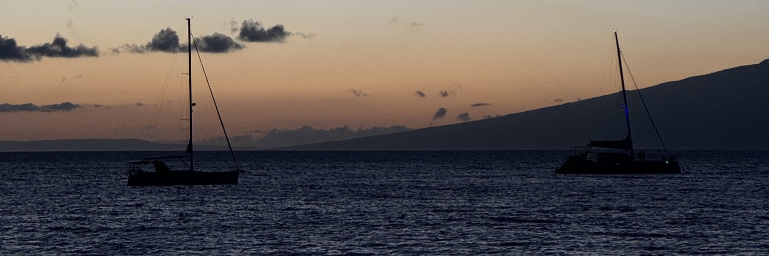 lizamong's profile banner image