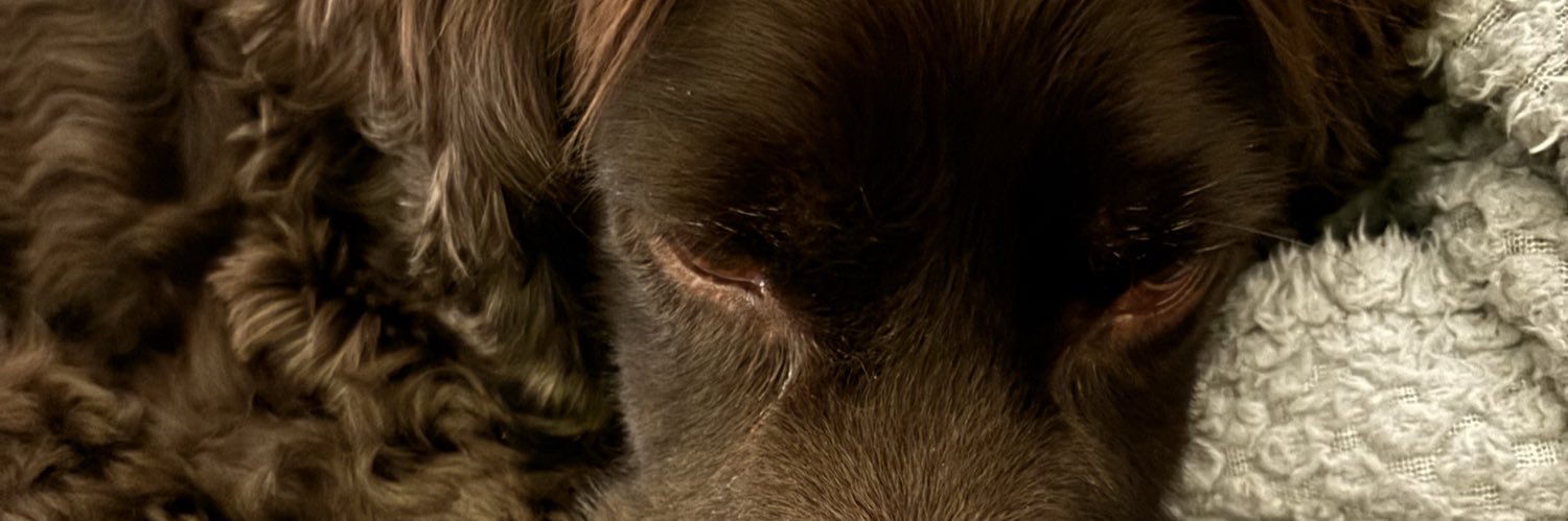 Matt Carter banner
