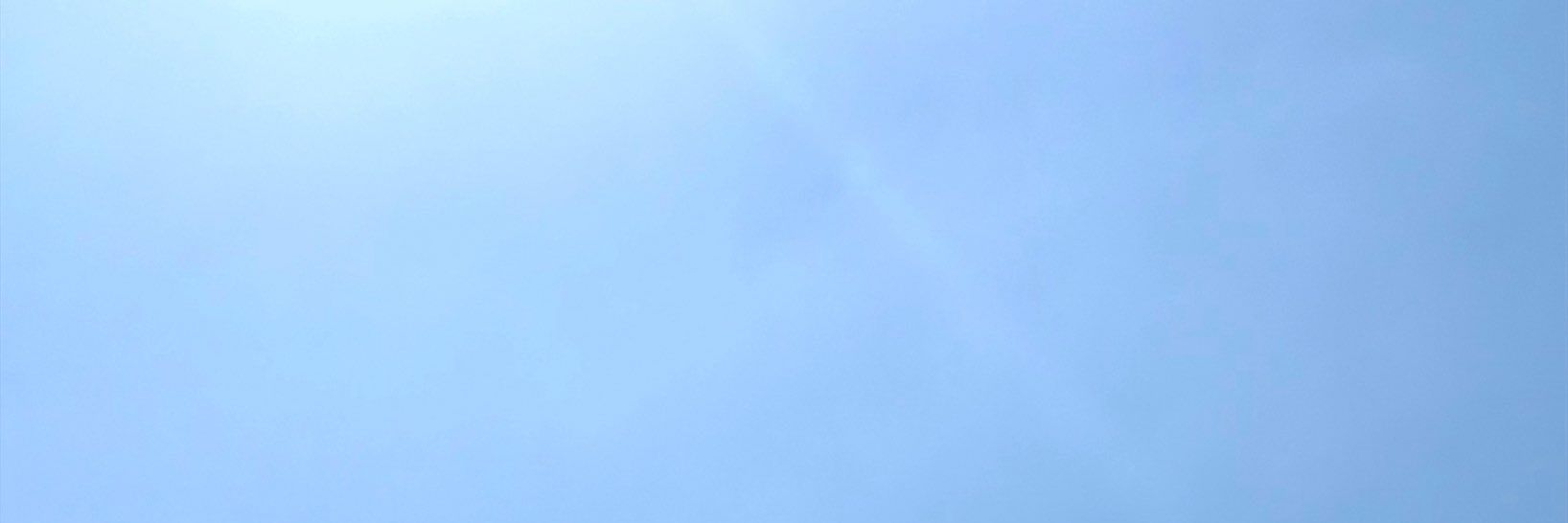 CHARIN🌰🐰🐯 banner