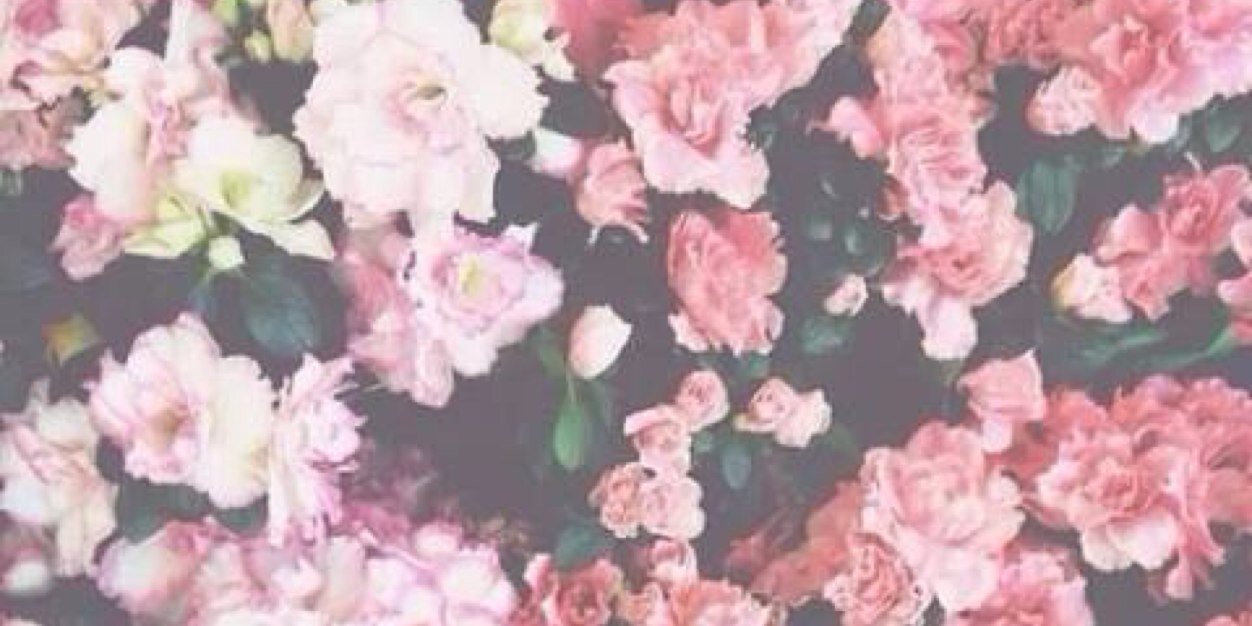 lincybakss's profile banner image