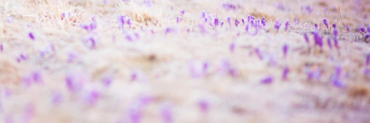 DILLlGAF's profile banner image
