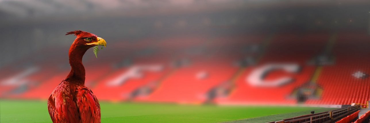 jayeb_87's profile banner image