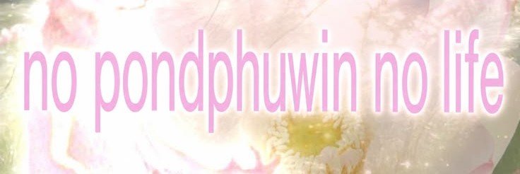 DaungtipA's profile banner image