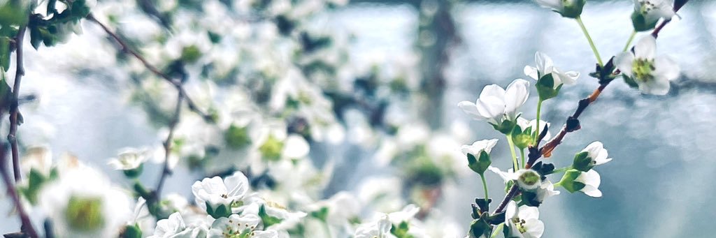 okan_hnd's profile banner image