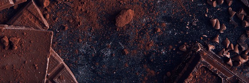 Rex ♛ banner