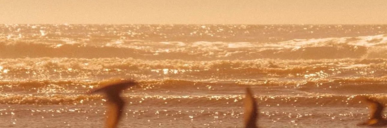 als3yy's profile banner image