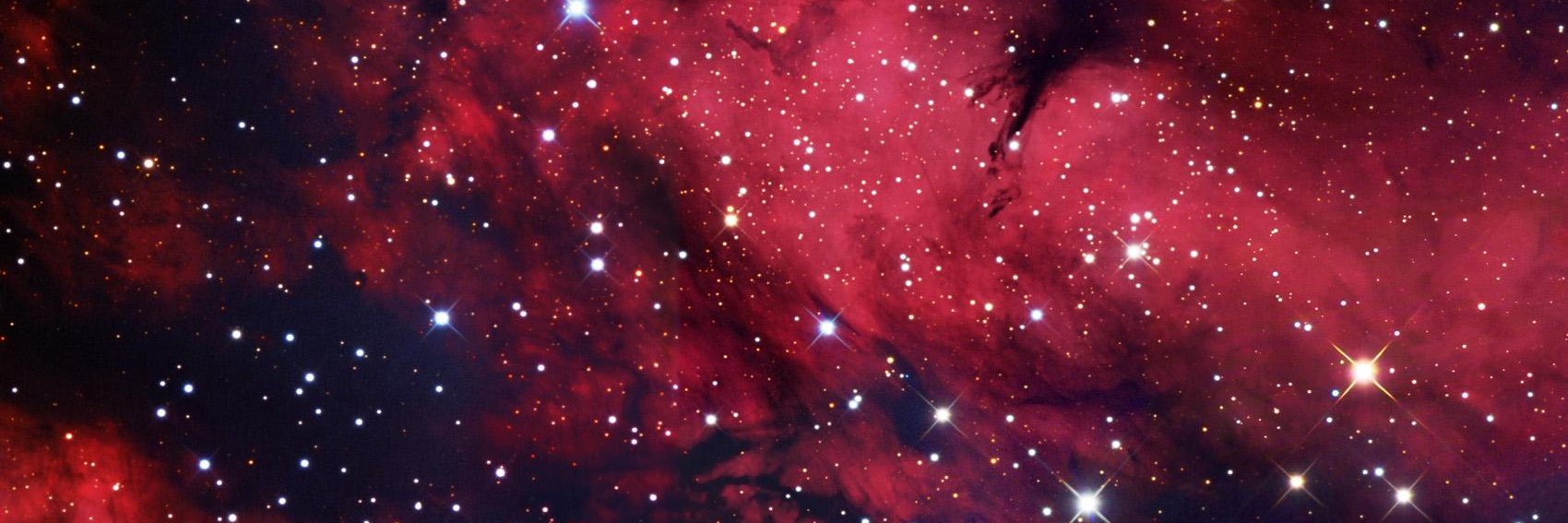 joelridley's profile banner image