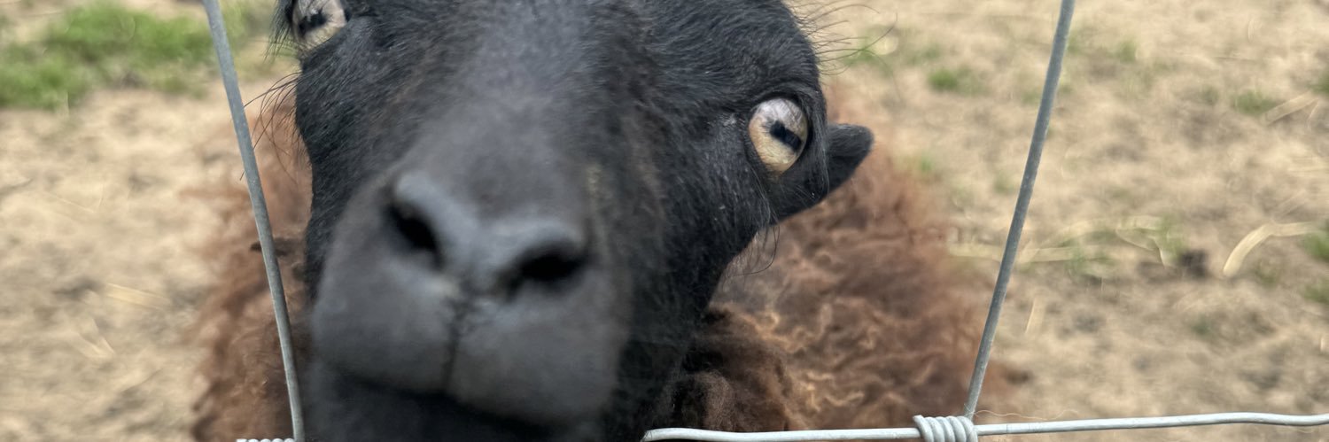 JohnnySumm3rs's profile banner image