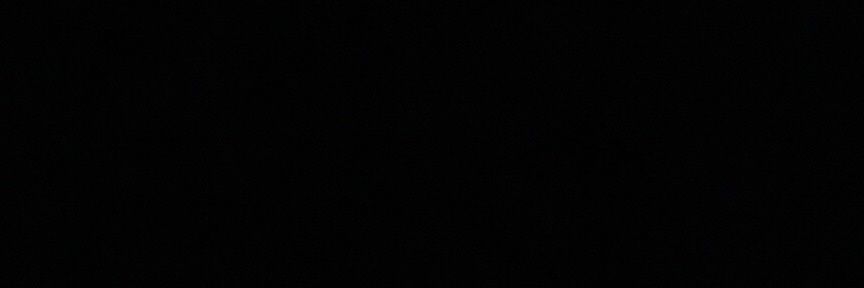 BloodyhoundA's profile banner image